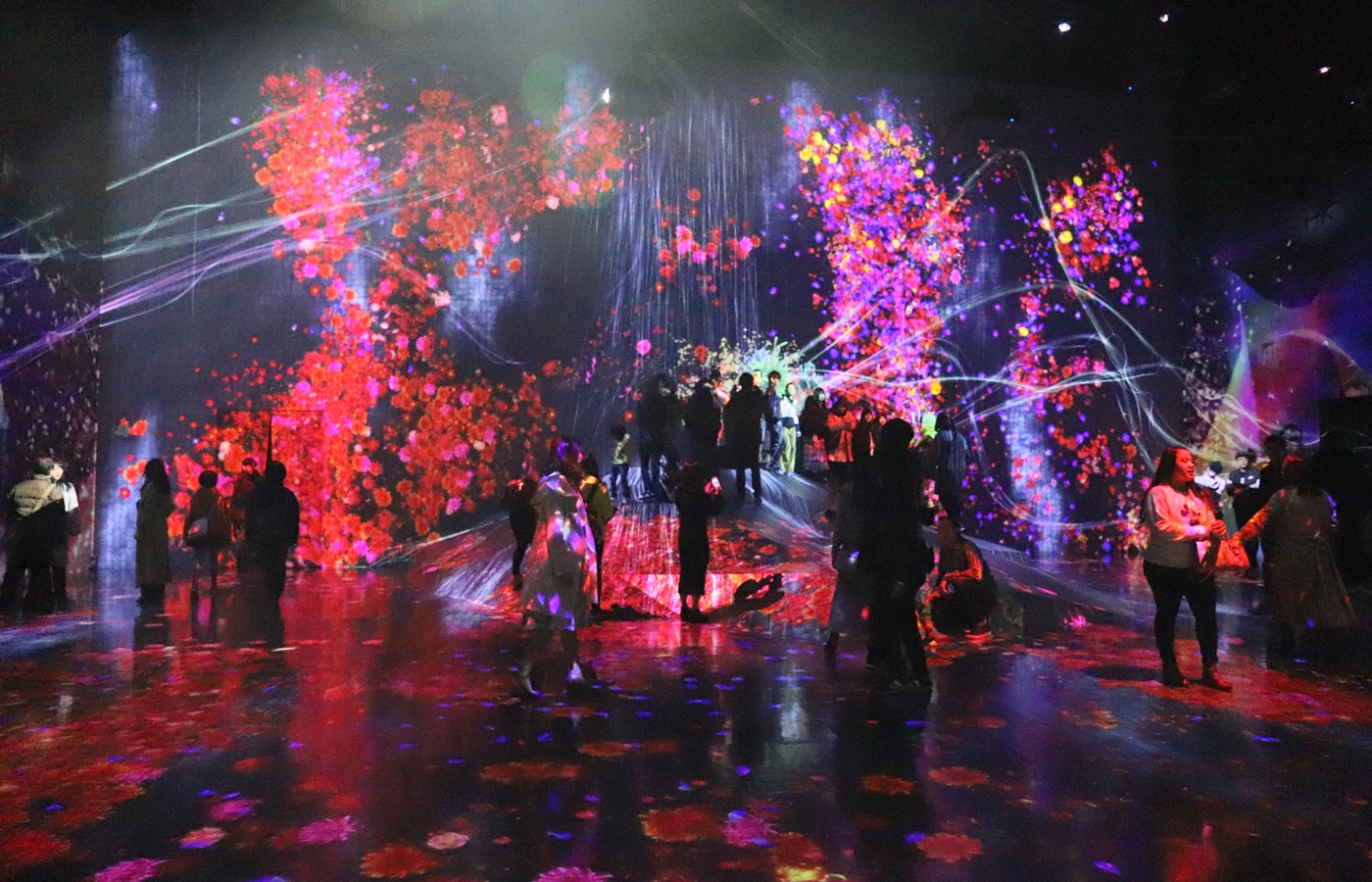 チームラボお台場に参戦！