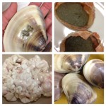 2回目のいちご狩り♡