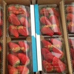 アナと雪の女王♡