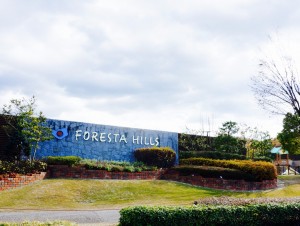 FORESTA HILLS