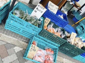 1AA2C4E0-C843-4FE3-A418-E774BD68E144