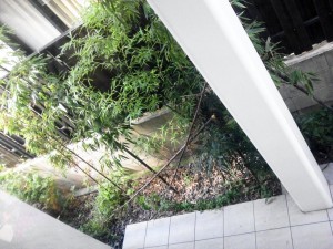 ネイルチェンジ