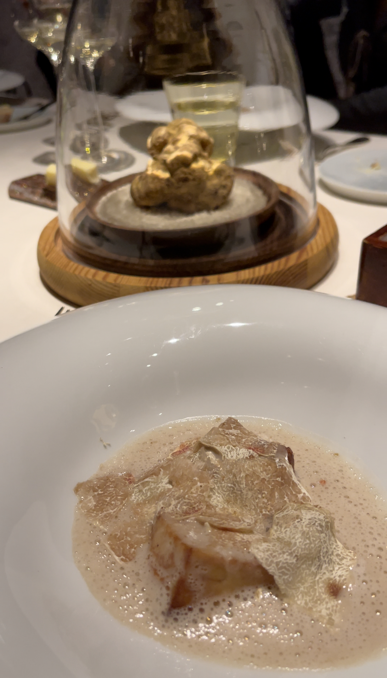 95799654-512D-4F17-BB31-C46FCC1F096D