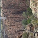 IMG_4643_2.JPG
