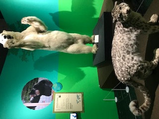 ☆絶滅動物研究所☆