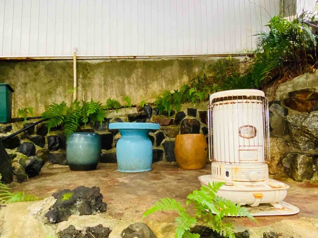 お湯良し、器良し、お料理よし！美人の湯「柿野温泉」でジャングル風呂も