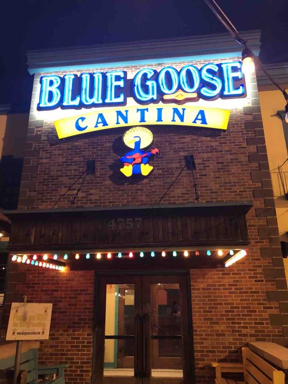 すぐお隣がメキシコなテキサス州ではTEXMEXもね「Blue Goose Cantina」