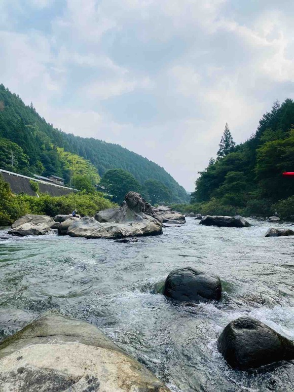 今年も鮎の友釣り！高山の白川にて挑戦しましたがその釣果は…