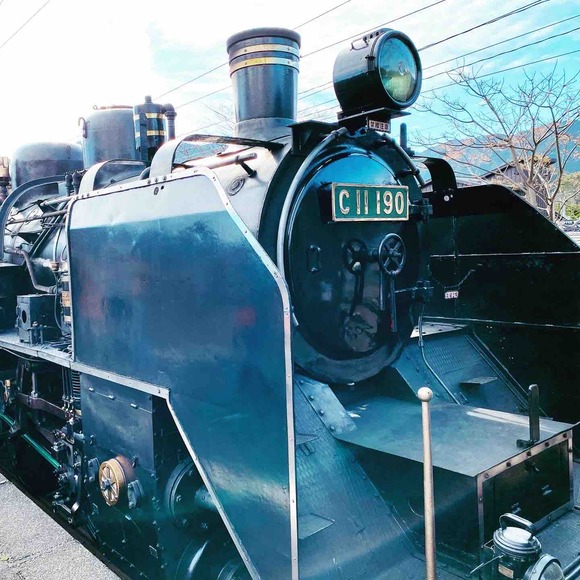 やっと出会えたSL蒸気機関車！静岡満喫特別ツアーはクライマックス