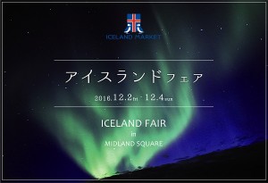 iceland_fair_img